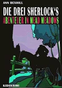 Die drei Sherlock's - Ann Bexhill - E-Book