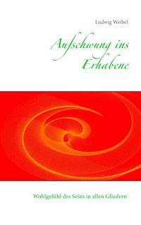 Aufschwung ins Erhabene - Ludwig Weibel - E-Book