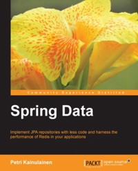 Spring Data - Petri Kainulainen - E-Book