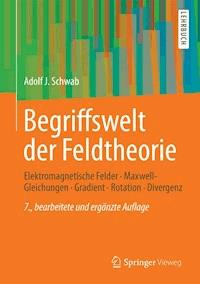 Begriffswelt der Feldtheorie - Adolf J. Schwab - E-Book