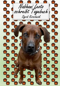 Nabhani Leoto schreibt Tagebuch - Sigrid Kirschniok - E-Book