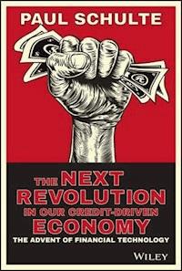 The Next Revolution in our Credit-Driven Economy - Paul Schulte - E-Book