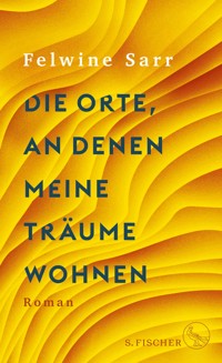 Die Orte, an denen meine Träume wohnen - Felwine Sarr - E-Book