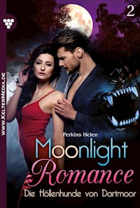 Die Höllenhunde von Dartmoor - Jeany Steiger - E-Book