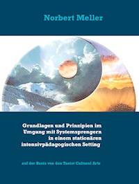 Grundlagen und Prinzipien im Umgang mit Systemsprengern in einem stationären intensivpädagogischen Setting - Norbert Meller - E-Book