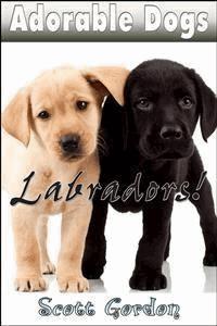 Adorable Dogs: Labradors - Scott Gordon - E-Book