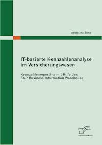 IT-basierte Kennzahlenanalyse im Versicherungswesen: Kennzahlenreporting mit Hilfe des SAP Business Information Warehouse - Angelina Jung - E-Book
