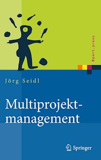 Multiprojektmanagement - Jörg Seidl - E-Book