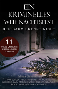 Ein kriminelles Weihnachtsfest – Der Baum brennt nicht - Hans-Jürgen Raben - E-Book