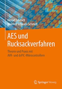 AES und Rucksackverfahren - Herrad Schmidt - E-Book