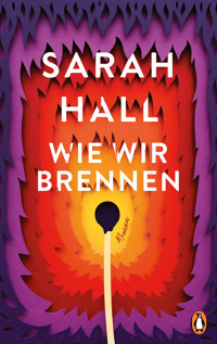 Wie wir brennen - Sarah Hall - E-Book