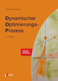 Dynamischer Optimierungs-Prozess - Heinrich Hillinger - E-Book