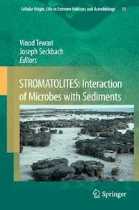 STROMATOLITES: Interaction of Microbes with Sediments -  - E-Book
