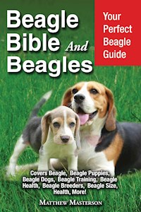 Beagle Bible and Beagles - Matthew Masterson - E-Book