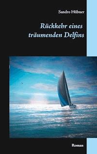 Rückkehr eines träumenden Delfins - Sandro Hübner - E-Book