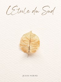 L'Étoile du Sud - Jules Verne. - E-Book