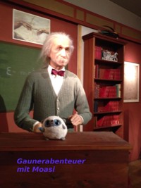 MOASI- Wilde Gaunerabenteuer - Carina Bauer - E-Book