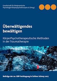 Überwältigendes bewältigen -  - E-Book