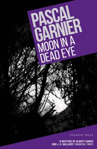 Moon in a Dead Eye - Pascal Garnier - E-Book