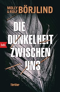 Die Dunkelheit zwischen uns - Molly Börjlind - E-Book