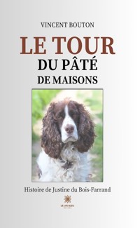 Le tour du pâté de maisons - Vincent Bouton - E-Book