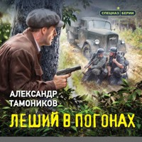 Леший в погонах - Тамоников Александр - Hörbuch