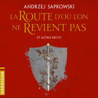 La Route d'où l'on ne revient pas et autres récits - Andrzej Sapkowski - Hörbuch