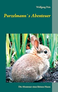 Purzelmann`s Abenteuer - Wolfgang Pein - E-Book