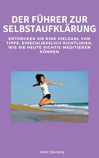 Der Führer zur Selbstaufklärung - Andre Sternberg - E-Book