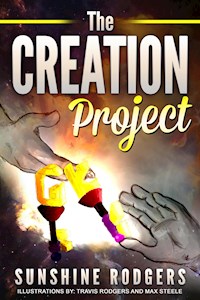 The Creation Project - Sunshine Rodgers - E-Book
