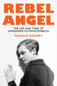 Rebel Angel - Padraig Rooney - E-Book