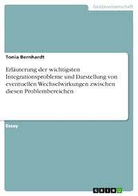 Erläuterung der wichtigsten Integrationsprobleme und Darstellung von eventuellen Wechselwirkungen zwischen diesen Problembereichen - Tonia Bernhardt - E-Book