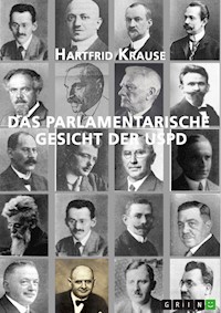 Das parlamentarische Gesicht der USPD - Hartfrid Krause - E-Book