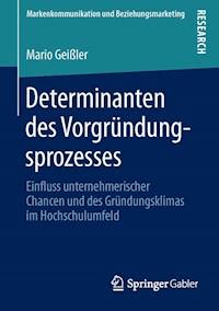 Determinanten des Vorgründungsprozesses - Mario Geißler - E-Book