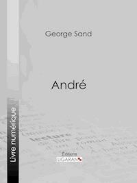 André - Ligaran - E-Book