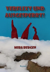 Verflixt und ausgesperrt! - Mira Bergen - E-Book