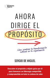 Ahora dirige el propósito - Sergio de Miguel - E-Book