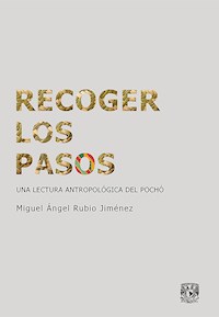 Recoger los pasos - Miguel Ángel Rubio Jiménez - E-Book