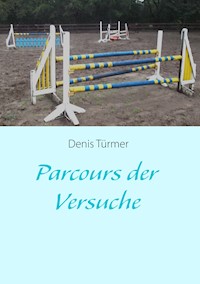 Parcours der Versuche - Denis Türmer - E-Book
