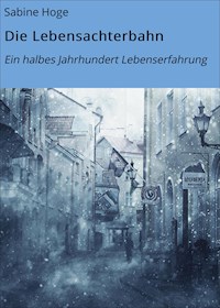 Die Lebensachterbahn - Sabine Hoge - E-Book