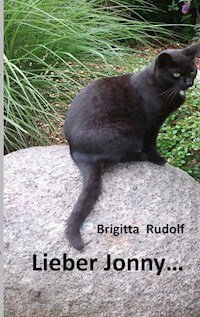Lieber Jonny - Brigitta Rudolf - E-Book
