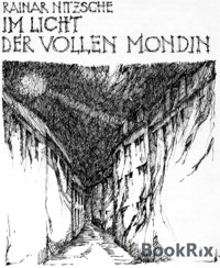Im Licht der Vollen Mondin - Rainar Nitzsche - E-Book