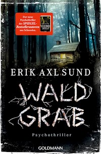 Waldgrab - Erik Axl Sund - E-Book