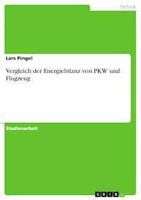 Vergleich der Energiebilanz von PKW und Flugzeug - Lars Pingel - E-Book
