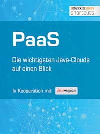 PaaS - Die wichtigsten Java Clouds auf einen Blick - Bernhard Löwenstein - E-Book