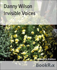 Invisible Voices - Danny Wilson - E-Book