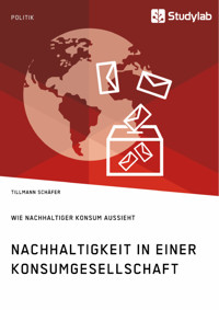Nachhaltigkeit in einer Konsumgesellschaft. Wie nachhaltiger Konsum aussieht - Tillmann Schäfer - E-Book