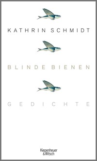 Blinde Bienen - Kathrin Schmidt - E-Book