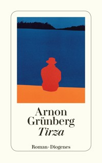 Tirza - Arnon Grünberg - E-Book