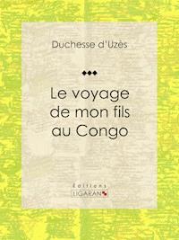 Le voyage de mon fils au Congo - Ligaran - E-Book